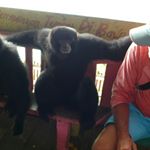 Profile Picture of peter kennelly (@peter.kennelly) on Instagram