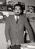 Profile Picture of Mario Rigoni Sternon Wikipedia