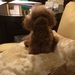 Profile Picture of Kuo Chuan Tseng (@kuochuan1021) on Pinterest