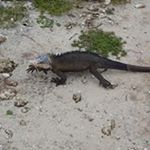 Profile Picture of Eric Rouch (@ericrouch) on Instagram