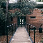 Profile Picture of Mike Pinson (@suggeris) on Instagram