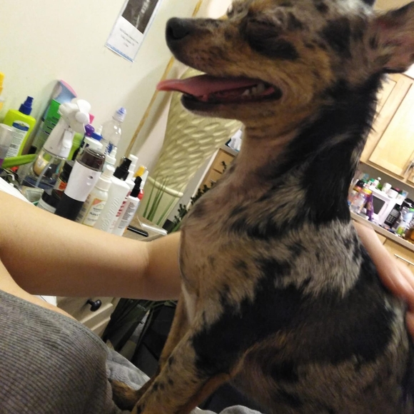 Profile Picture of Lori Skipworth (@skipworthlori6) on Poshmark