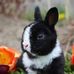 Profile Picture of Nancy Jalbert (@nancy.jalbert.77) on Facebook
