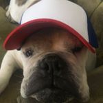 Profile Picture of Richard Rippetoe (@pork3chop) on Instagram