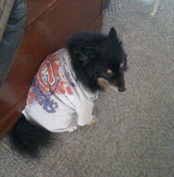 Profile Picture of Joyce Deschambeault (@joyced1955) on Poshmark