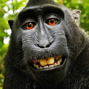 Profile Picture of Jonny Schakowsky (@jonnyschakowsky203) on Youtube