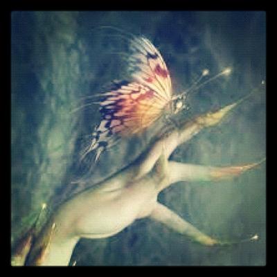 Jeanette Davidson - Twitter Profile Picture of Jeanette Davidson (@likablebobol87) on Twitter