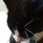 Profile Picture of Fiona Mcrae (@fiona.mcrae.501) on Instagram