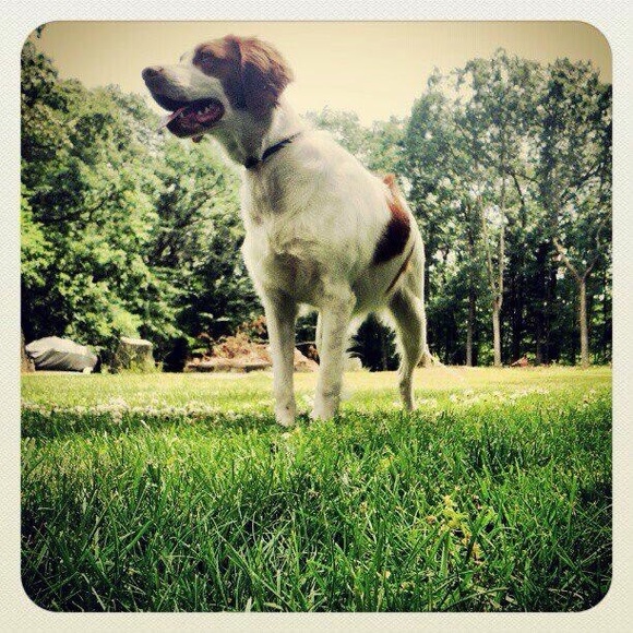 Profile Picture of Zachary Sullivan (@zsully27) on Poshmark