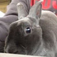 Profile Picture of Hanna Ramirez (@hanna-ramirez-17) on Quora