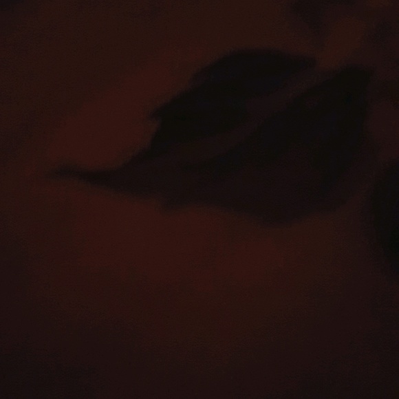 Profile Picture of James Branch (@treboogie21) on Poshmark