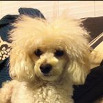 Profile Picture of Matthew Thuet (@matthew_thuet) on Instagram