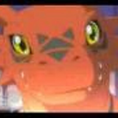 Profile Picture of Jacob Bellinger (@HandsomDragon) on Twitter