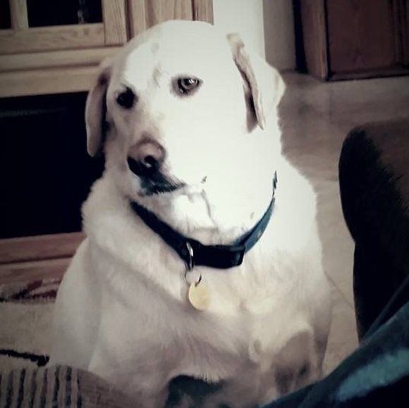 Profile Picture of Kathy Mackessy (@taff64) on Poshmark