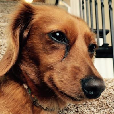 Profile Picture of Aaron Cade Hockmuth (@HockmuthAaron) on Twitter