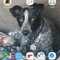 Profile Picture of Randy Wulf (@RandyWulf4) on Twitter