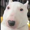Profile Picture of larrybarwick3 (@larrybarwick3) on Tiktok