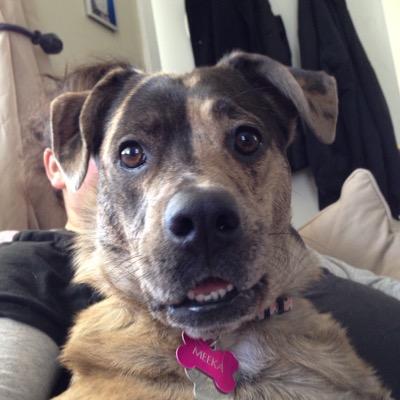 Profile Picture of Lisa-Marie Gaudet (@LMGoalie) on Twitter