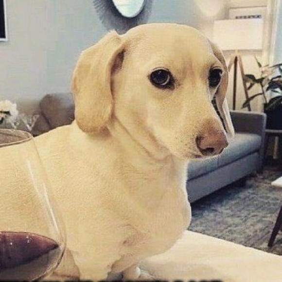 Profile Picture of Sam Castro (@young_blood_fr) on Poshmark