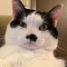 Profile Picture of Joseph Doyen (@joseph.doyen.58) on Facebook