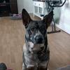 Profile Picture of jeffdenney330 (@@jeffdenney330) on Tiktok
