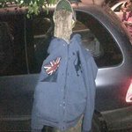 Profile Picture of Alejandro Puig (@alejandro.puig.50) on Instagram