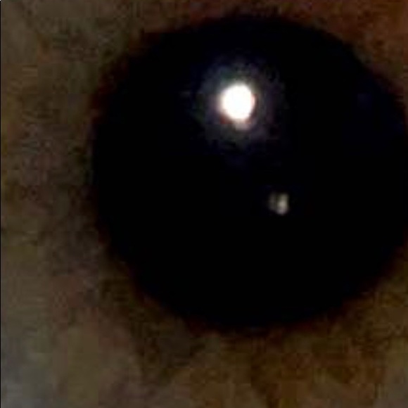 Profile Picture of Windsor Hill (@windsorhill) on Poshmark