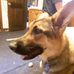 Profile Picture of Jacob Keene (@jacob.keene.338) on Facebook