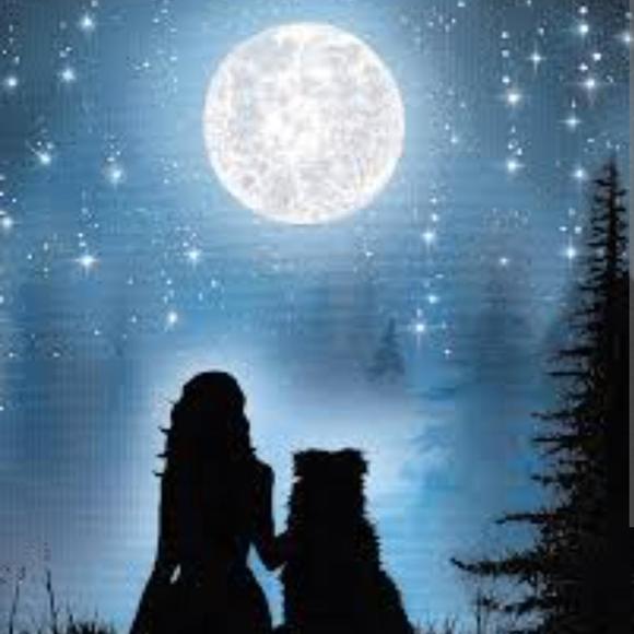 Profile Picture of Kate Finnegan (@katefinnegan646) on Poshmark