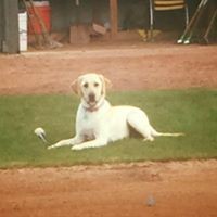 Profile Picture of Tracy Baldwin Mcelligott (@tracy-baldwin-mcelligott) on Quora