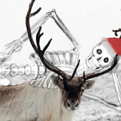 Profile Picture of Christopher Voorhees (@JurrassicWelp16) on Twitter