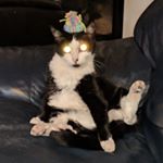 Profile Picture of Jeffrey Steven (@jeffreylsteven) on Instagram