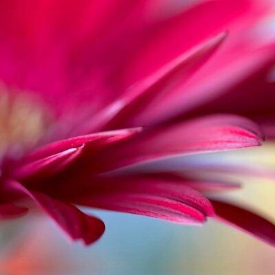 Profile Picture of RAPHEL KOOLA JOSEPH (@raphelkjoseph) on Twitter