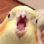 Profile Picture of Andrew Dwyer (@andr3w_lmao) on Instagram