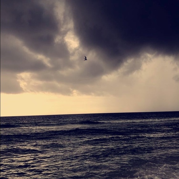 Profile Picture of Allee Donnoe (@amaddie) on Poshmark