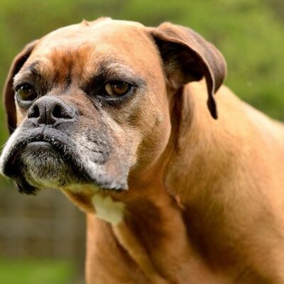 Profile Picture of Brian Arm (@Brianthenumpty) on Twitter