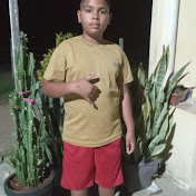 Profile Picture of Ian Pereira (@IanPereira-r2k) on Youtube