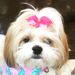Profile Picture of Rachel Stack (@raerae31) on Pinterest