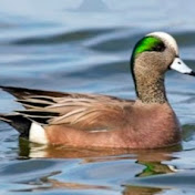 Christopher Cenac III - Youtube Profile Picture of Christopher Cenac III (@aquaassassinsla2173) on Youtube