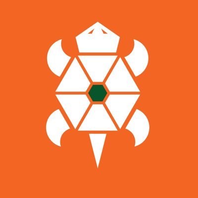 Profile Picture of Turtle Island Lacrosse (@turtleislandlax) on Twitter