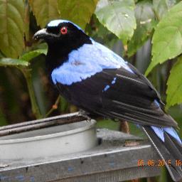 Profile Picture of Mariska Peters (@Mariska__Peters) on Twitter