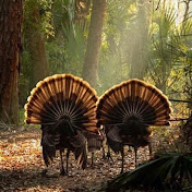 Profile Picture of Raidex Connin (@raidexconnin462) on Youtube