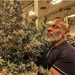 Profile Picture of Andry Belou (@Andry-Belou) on Facebook