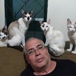 Profile Picture of jefferson de oliveira farias (@jeff_farias_urv) on Instagram