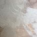 Profile Picture of Carly Pascoe (@carlyapascoe) on Pinterest