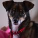 Profile Picture of Nancy Reams (@knitcyupnorth) on Pinterest
