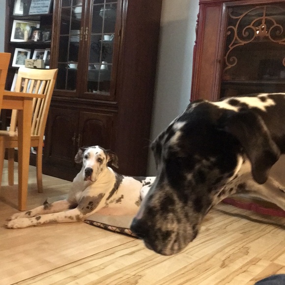 Profile Picture of Tim Haney (@haney79) on Poshmark