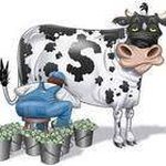 Profile Picture of Marc Pigeon (@bongrospigeon) on Instagram