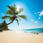 Profile Picture of Luke Berman (@lukeberman83) on Instagram