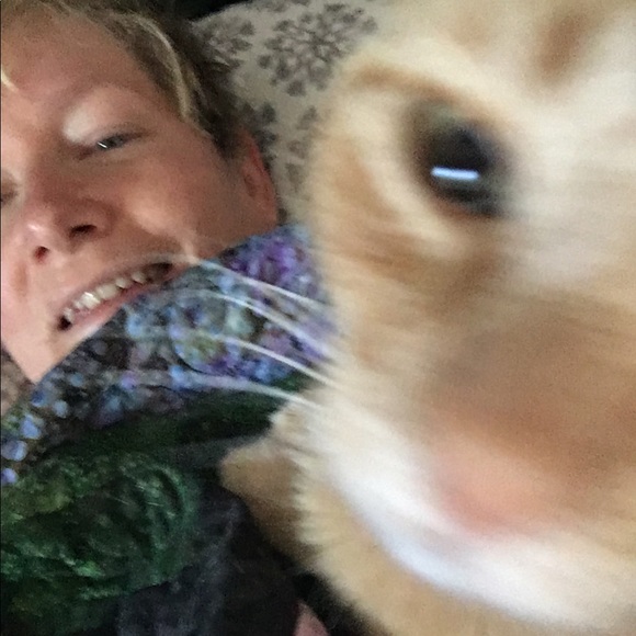 Profile Picture of Debby Remily (@rebily12) on Poshmark